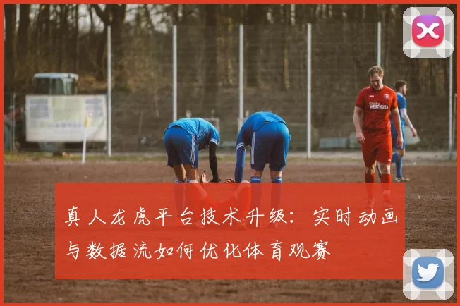 真人龙虎平台技术升级：实时动画与数据流如何优化体育观赛