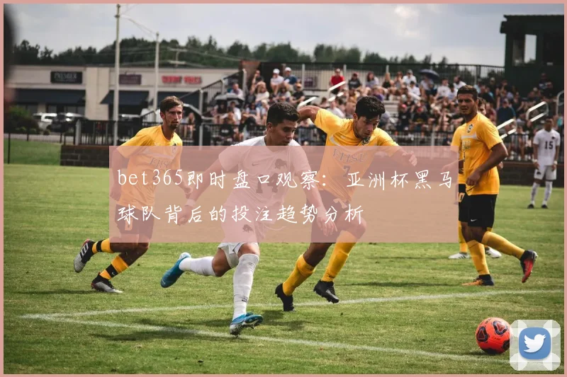 bet365即时盘口观察:亚洲杯黑马球队背后的投注趋势分析