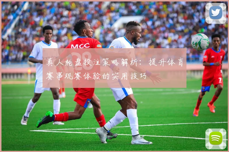 真人轮盘投注策略解析：提升体育赛事观赛体验的实用技巧