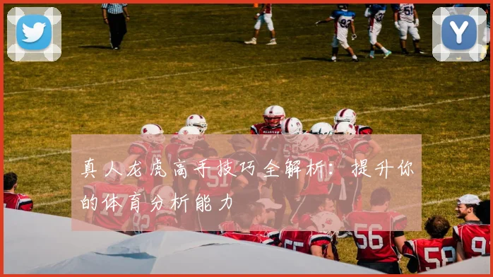真人龙虎高手技巧全解析：提升你的体育分析能力