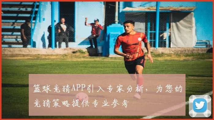 篮球竞猜APP引入专家分析，为您的竞猜策略提供专业参考