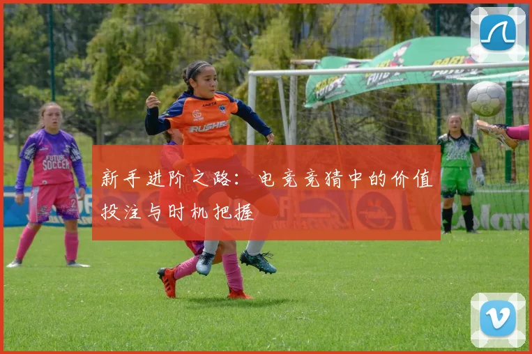 新手进阶之路:电竞竞猜中的价值投注与时机把握